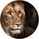 Rico Spichale (Rico_Rawtastic) profile picture